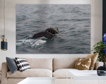 Humpback Whale van Rene Jacobs