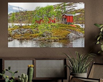 Die rote  Hütte im See - Norwegen von Gisela Scheffbuch