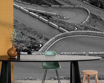 Foto van bergpas Stelvio in zwart-wit van Sander Goedhart