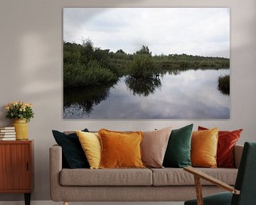 Mooi natuur gebied
