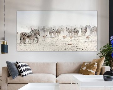 zebra herd on the Etosha salt pan by margreet van vliet