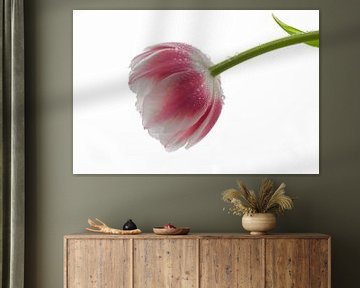 Tulip van Janny Kleijn