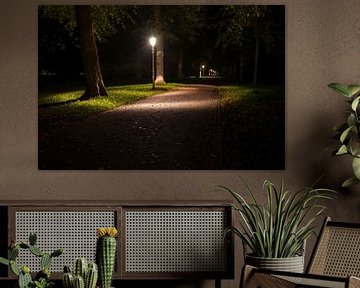 A lonely evening in the park by Fotografiecor .nl