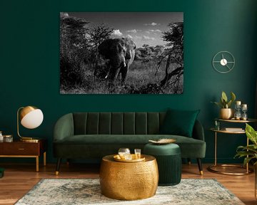 Elefant auf der Serengeti von Robin Langelaar