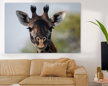 Giraffe portret van Robin Langelaar