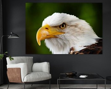 american eagle voor vertrek