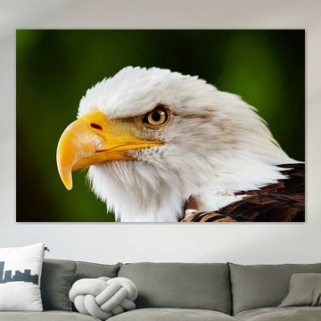 american eagle voor vertrek