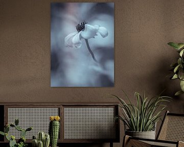 Flower in pastel by Kati van Helden