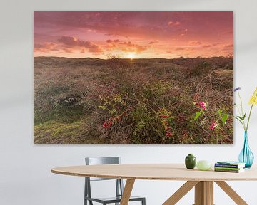 Zonsondergang in de duinen van Texel van Rob Kints