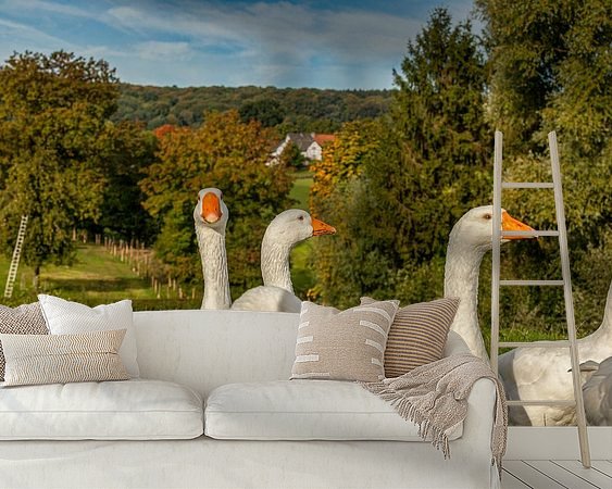 Raumvorschau