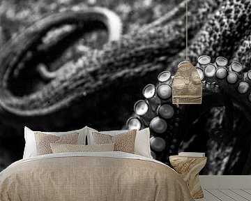 Kunstzinnige octopus by Hans Lunenburg