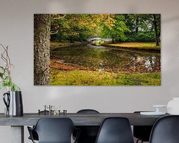 Herfst in het Paleispark van  't Loo bij Apeldoorn van Fotografiecor .nl