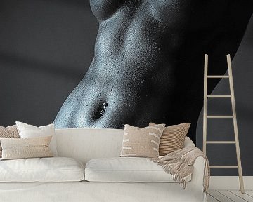 Fine Art Nude_2a by Anton Path