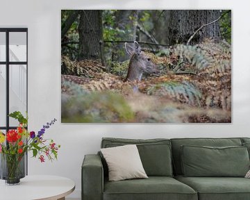 Hert in het bos von Marc Vriese