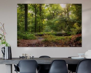 Beleef het bos by Marc Crutzen