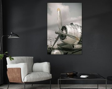 Altes Flugzeug mit Propellermotor von Sjoerd van der Wal Fotografie