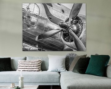 Aéronef propulseur Vintage Douglas DC-3 prêt à décoller sur Sjoerd van der Wal Photographie