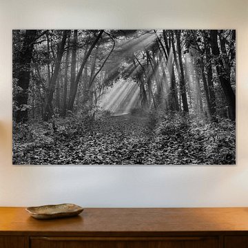 Lichtstralen by Kees Gruijters