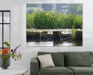 Langs de vecht 1