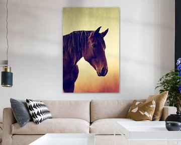 Westelijk paard in porträit van Tanja Riedel