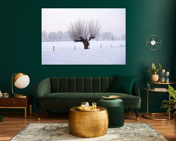 Knotwilg in winters landschap van Merijn van der Vliet