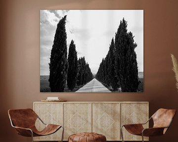 Cypressenlaan Cypress lane Corsia di cipressi van Sense Photography