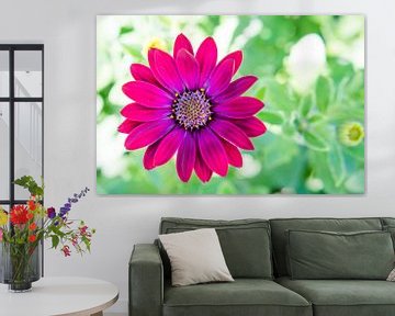 Kleurrijke bloem met bokeh achtergrond von Davey Poppe