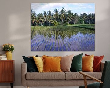 Reflexionen in den balinesischen Reisfeldern von Lu's Fotografie