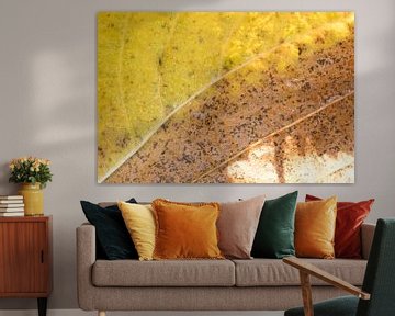 Autumn leaf sur Art Wittingen