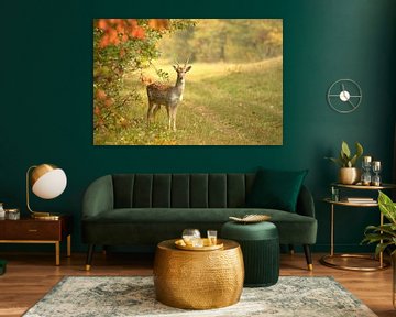 Deer by Henriëtte van Golde