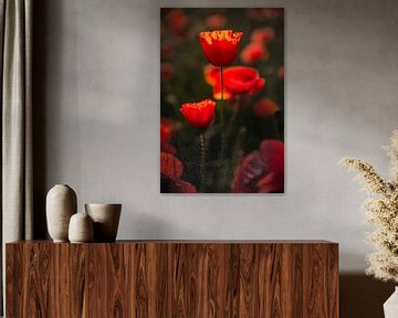Poppies Beauty von Thomas Froemmel