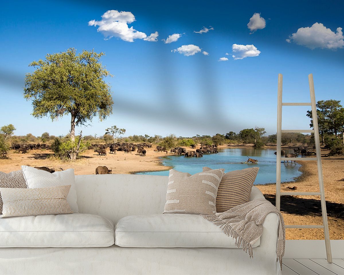 Raumvorschau