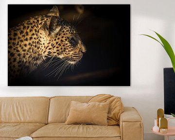 Leopard Portrait van Thomas Froemmel