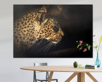 Leopard Portrait von Thomas Froemmel