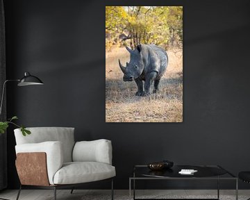 Rhino Portrait I van Thomas Froemmel
