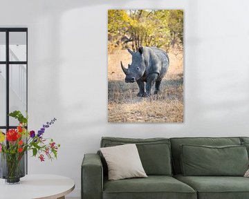 Rhino Portrait I von Thomas Froemmel