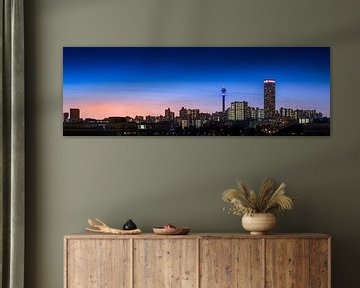 Johannesburg Skyline van Thomas Froemmel