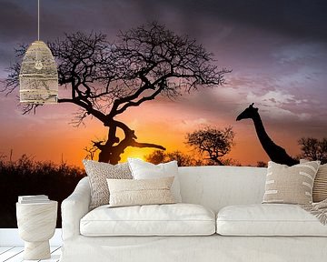 Sunset Giraffe by Thomas Froemmel