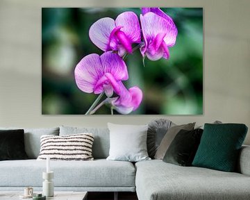Flowers by Gerard de Ridder