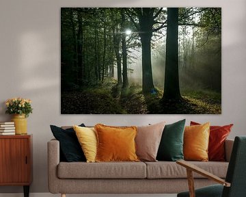 Zonneharpen in het bos by Ruud Langendijk