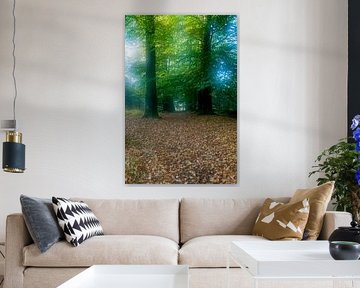 Herfst in het bos by Ruud Langendijk