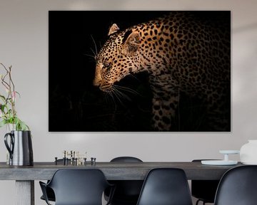 Leopard Siluette von Thomas Froemmel