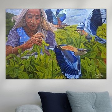 Theeplukster Sri Lanka