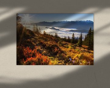 Wunderschöner Herbstmorgen im Gebirge von Coen Weesjes