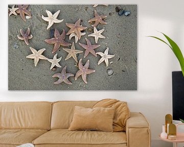 Zeesterren,  starfish von Yvonne Balvers