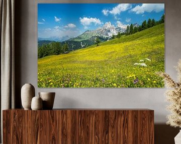 Alpine meadow by Martin Smit