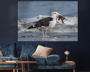 Eating a fish by a Great Black-backed Gull by Marcel Pietersen