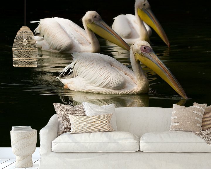 Sfeerimpressie behang: Pelikanen in Frankrijk van Patrick van Oostrom