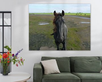 31. Buitendijks gebied, Noarderleech, Fries paard. van Alies werk