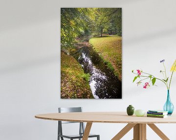 Stimmungsvoller Herbstwald mit Wasser von Fotografiecor .nl